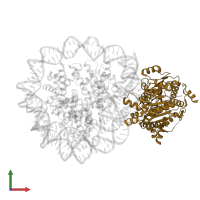 ATP-dependent DNA helicase DDM1 in PDB entry 8kcb, assembly 1, front view.