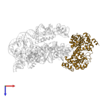 ATP-dependent DNA helicase DDM1 in PDB entry 8kcb, assembly 1, top view.