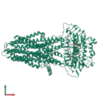 Monomeric assembly 1 of PDB entry 8kci coloured by chemically distinct molecules, front view.