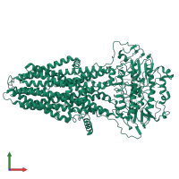ATP-binding cassette sub-family C member 5 in PDB entry 8kci, assembly 1, front view.