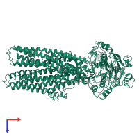 ATP-binding cassette sub-family C member 5 in PDB entry 8kci, assembly 1, top view.