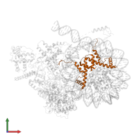 Histone H3 in PDB entry 8kd4, assembly 1, front view.
