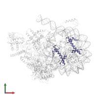 Histone H4 in PDB entry 8kd4, assembly 1, front view.