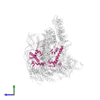 Histone H2A in PDB entry 8kd4, assembly 1, side view.