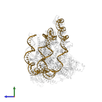 187bp DNA in PDB entry 8kd4, assembly 1, side view.