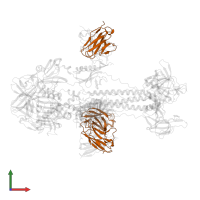 D48 light chain in PDB entry 8kfa, assembly 1, front view.