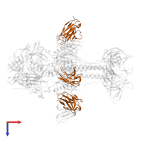 D48 light chain in PDB entry 8kfa, assembly 1, top view.