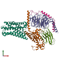 PDB entry 8kgk coloured by chain, front view.