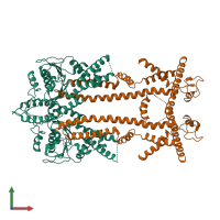 Hetero tetrameric assembly 1 of PDB entry 8odu coloured by chemically distinct molecules, front view.