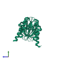 Cyclic di-AMP synthase CdaA in PDB entry 8ogv, assembly 1, side view.