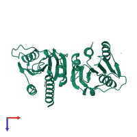 Cyclic di-AMP synthase CdaA in PDB entry 8ogv, assembly 1, top view.