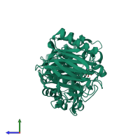 Monomeric assembly 1 of PDB entry 8ohv coloured by chemically distinct molecules, side view.