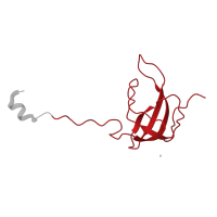 The deposited structure of PDB entry 8oip contains 1 copy of Pfam domain PF00164 (Ribosomal protein S12/S23) in Small ribosomal subunit protein uS12m. Showing 1 copy in chain L [auth AJ].