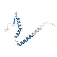 The deposited structure of PDB entry 8oip contains 1 copy of Pfam domain PF01165 (Ribosomal protein S21) in 28S ribosomal protein S21, mitochondrial. Showing 1 copy in chain S [auth AQ].