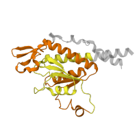 The deposited structure of PDB entry 8oip contains 2 copies of Pfam domain PF00318 (Ribosomal protein S2) in Mitochondrial ribosomal protein S2. Showing 2 copies in chain DA [auth Ab].