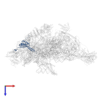 Small ribosomal subunit protein uS10m in PDB entry 8oip, assembly 1, top view.
