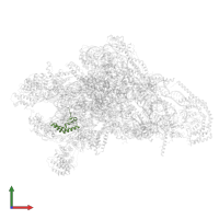 28S ribosomal protein S14, mitochondrial in PDB entry 8oip, assembly 1, front view.