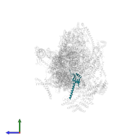 Small ribosomal subunit protein bS16m in PDB entry 8oip, assembly 1, side view.