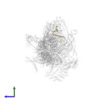 28S ribosomal protein S21, mitochondrial in PDB entry 8oip, assembly 1, side view.