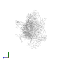 Large ribosomal subunit protein bL19m in PDB entry 8oip, assembly 1, side view.