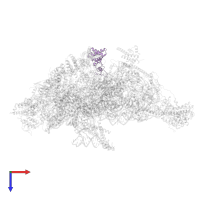 Small ribosomal subunit protein mS23 conserved domain-containing protein in PDB entry 8oip, assembly 1, top view.