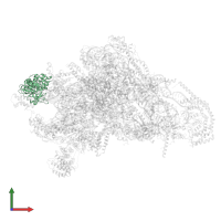 Small ribosomal subunit protein mS29 in PDB entry 8oip, assembly 1, front view.