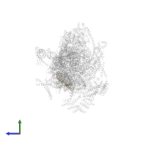 Small ribosomal subunit protein mS33 in PDB entry 8oip, assembly 1, side view.