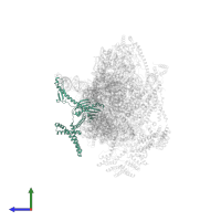 Peptide chain release factor 1, mitochondrial in PDB entry 8oip, assembly 1, side view.