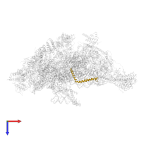 Small ribosomal subunit protein mS38 in PDB entry 8oip, assembly 1, top view.