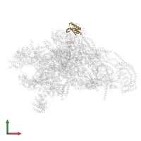 Small ribosomal subunit protein bS6m in PDB entry 8oip, assembly 1, front view.