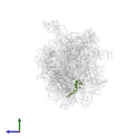 Mitochondrial ribosomal protein S18A in PDB entry 8oiq, assembly 1, side view.