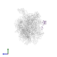 Large ribosomal subunit protein mL50 in PDB entry 8oiq, assembly 1, side view.