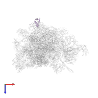 Large ribosomal subunit protein mL50 in PDB entry 8oiq, assembly 1, top view.