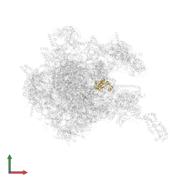 Large ribosomal subunit protein uL30m in PDB entry 8oit, assembly 1, front view.