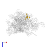 Large ribosomal subunit protein uL30m in PDB entry 8oit, assembly 1, top view.