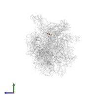 E-site tRNA in PDB entry 8oit, assembly 1, side view.
