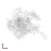 Large ribosomal subunit protein mL50 in PDB entry 8oit, assembly 1, front view.