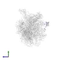 Large ribosomal subunit protein mL50 in PDB entry 8oit, assembly 1, side view.
