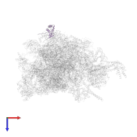 Large ribosomal subunit protein mL50 in PDB entry 8oit, assembly 1, top view.