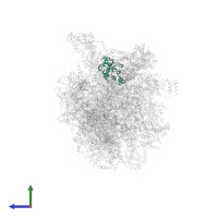 Large ribosomal subunit protein bL28m in PDB entry 8oit, assembly 1, side view.