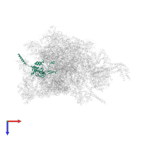 Large ribosomal subunit protein bL28m in PDB entry 8oit, assembly 1, top view.