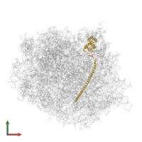 DDRGK domain-containing protein 1 in PDB entry 8oj5, assembly 1, front view.