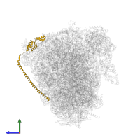 DDRGK domain-containing protein 1 in PDB entry 8oj5, assembly 1, side view.