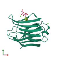 PDB entry 8oji coloured by chain, front view.