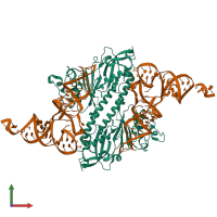 Hetero tetrameric assembly 1 of PDB entry 8okd coloured by chemically distinct molecules, front view.