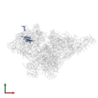 Small ribosomal subunit protein uS10m in PDB entry 8om2, assembly 1, front view.