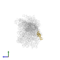 Small ribosomal subunit protein uS11m in PDB entry 8om2, assembly 1, side view.