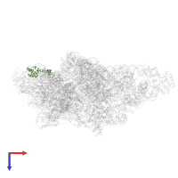 Small ribosomal subunit protein uS13m in PDB entry 8om2, assembly 1, top view.