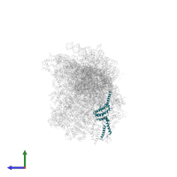 Small ribosomal subunit protein uS15m in PDB entry 8om2, assembly 1, side view.