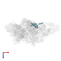 Small ribosomal subunit protein uS15m in PDB entry 8om2, assembly 1, top view.